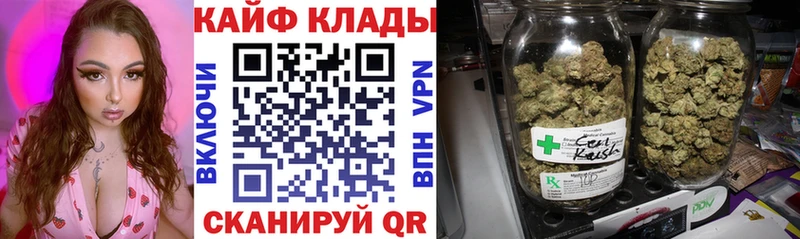 Псилоцибиновые грибы Славгород