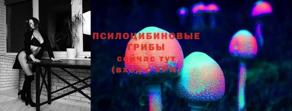 стаф Зерноград