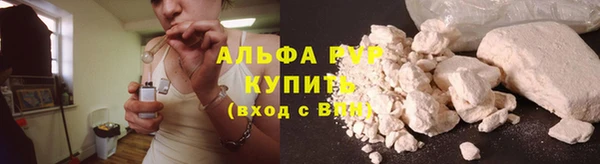 стаф Зерноград