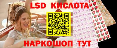 СК Гатчина