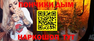 СК Гатчина