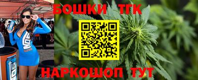 СК Гатчина