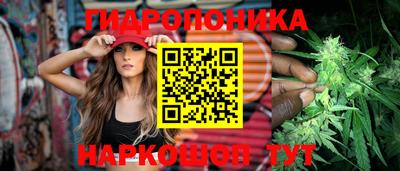 мяу мяу мука Гай