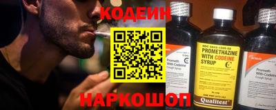СК Гатчина