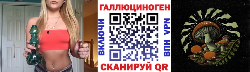 дарнет шоп  Славгород  Галлюциногенные грибы Psilocybe 