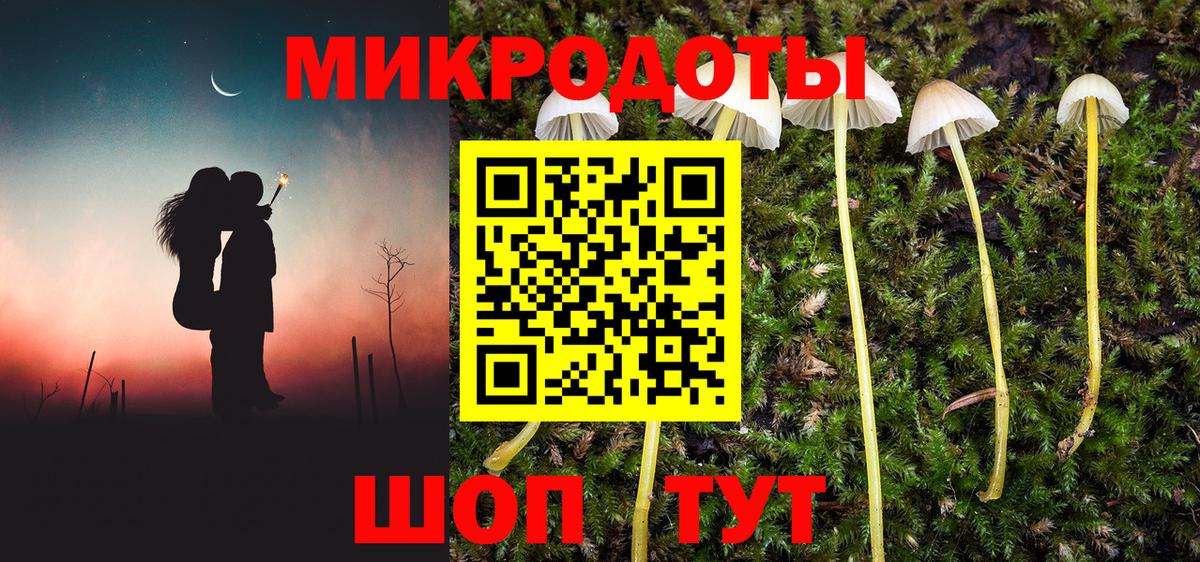 Славгород  Псилоцибиновые грибы мицелий  Псилоцибиновые грибы Psilocybe  Вход с VPN 