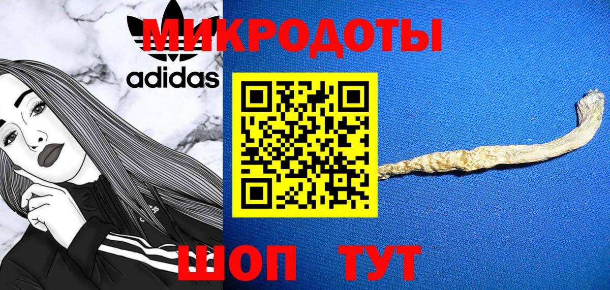 Бошки Шишки Славгород