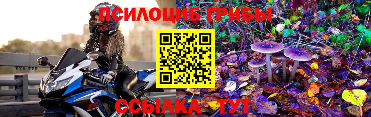 Галлюциногенные грибы ЛСД Славгород