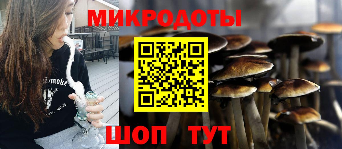 Галлюциногенные грибы мицелий Славгород
