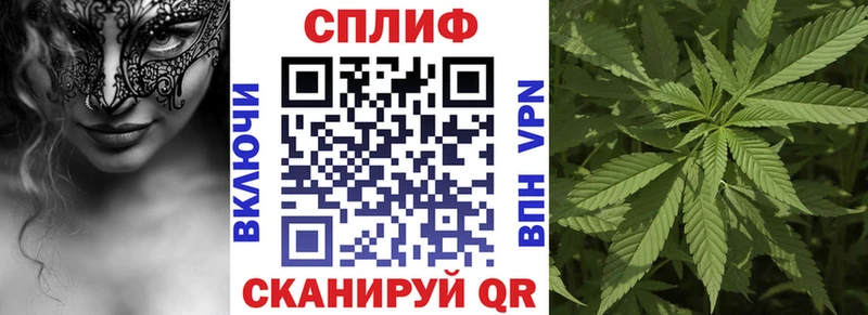 Конопля гибрид  Славгород 